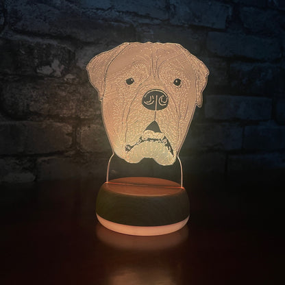 Personalised Bull Mastiff Dog LED Lamp Night Light