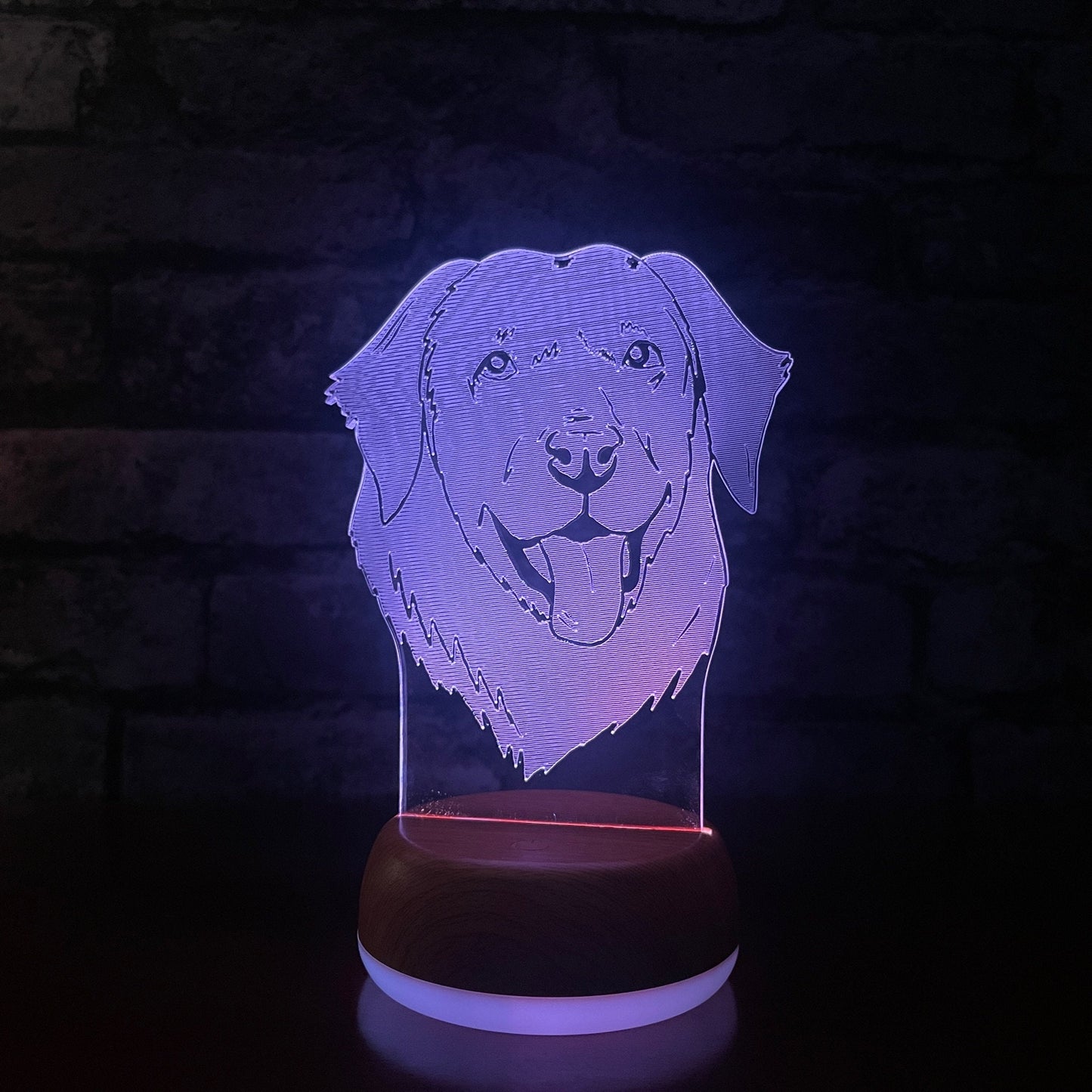 Personalised Labrador LED Lamp Night Light