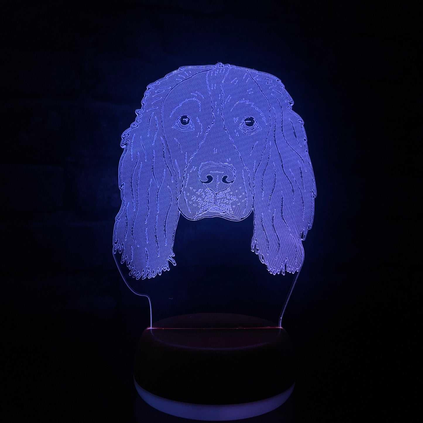 Personalised Springer Spaniel LED Lamp Night Light