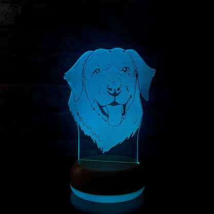 Personalised Labrador LED Lamp Night Light